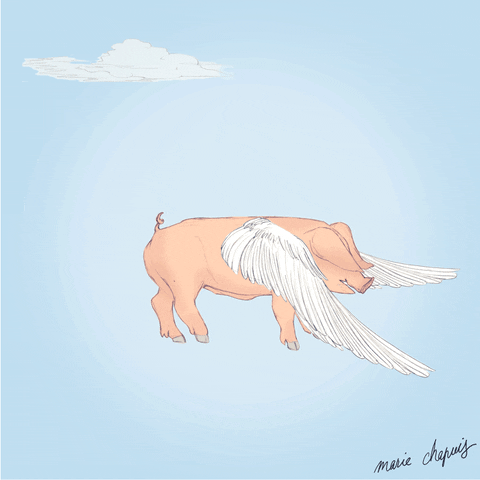 when pigs fly wings GIF by Marie Chapuis