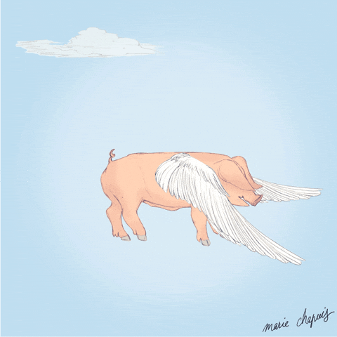 When Pigs Fly Animation GIF by Marie Chapuis