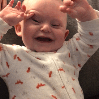 giphy.gif?cid=ecf05e47w0tk0xeal64bfbc8fh