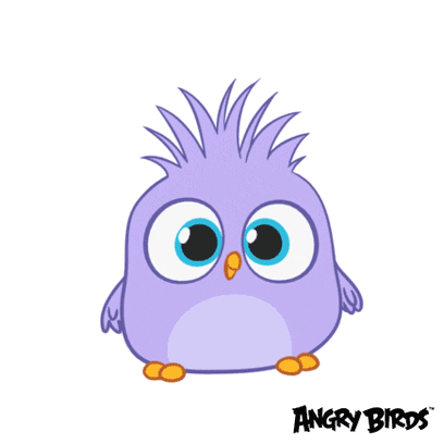 happy hatchlings GIF by Angry Birds