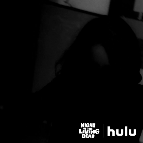 night of the living dead horror GIF by HULU