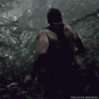 arnold schwarzenegger predator GIF by foxhorror