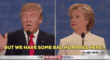 Donald Trump Bad Hombres GIF by Election 2016