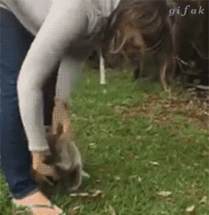 kaya_9  GIF