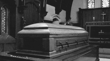 andrzejswietek  GIF