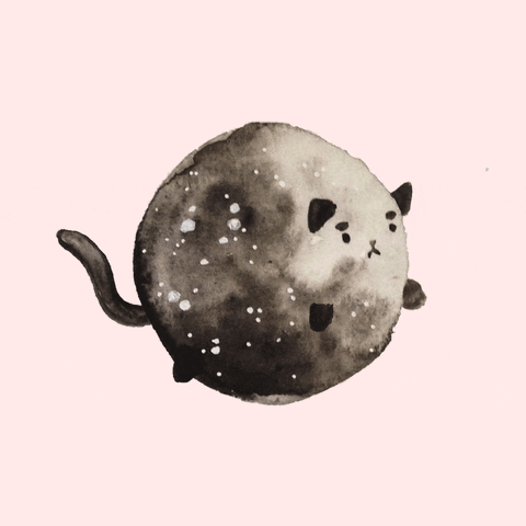 Cat Space GIF by jessthechen