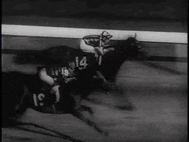 Horse Racing Vintage GIF by US National Archives