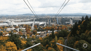pacific northwest fall GIF by Simple