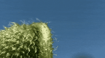 productionsonlux  GIF