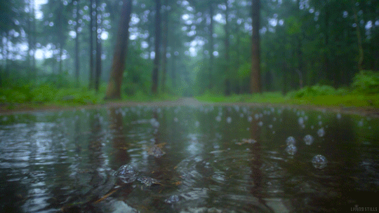Water Rain GIF by Living Stills - Find & Share on GIPHY