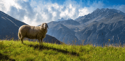 c2noyw1wbwljagvsqgdtywlslmnvbq  GIF