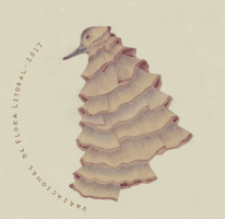 danielagallego calendar flora calendario litoral GIF