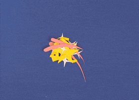 Gold Star GIF by Mailchimp