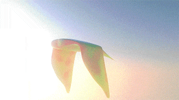 flying manta ray GIF by somenerv