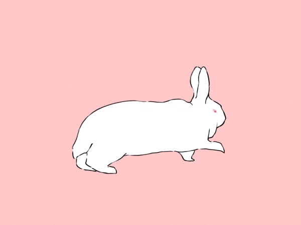 Animation Rabbit GIF by brontron - Find & Share on GIPHY