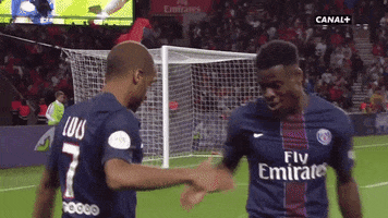 louis shifumi GIF