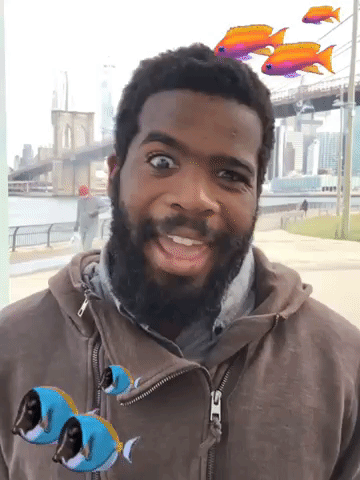 Framebeta GIF by StevieTurnsOne