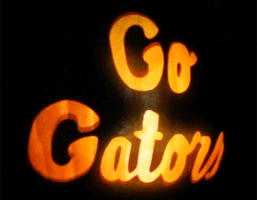 Pumpkin Uf GIF by University of Florida