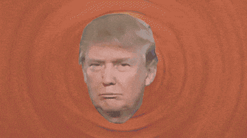 Donald Trump GIF by hero0fwar