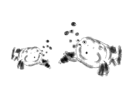 benjaminmitchley puffer fish GIF