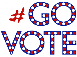 Election Day GIF by #GoVote
