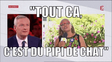 bruno le maire citation GIF by franceinfo