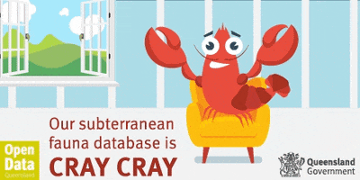 database queensland GIF by DSITI