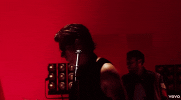 the last shadow puppets is this what you wanted mv GIF by Domino Recording Co.
