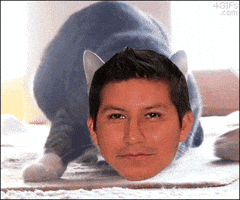 jsgarcia  GIF
