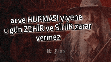 Akp Evrim GIF