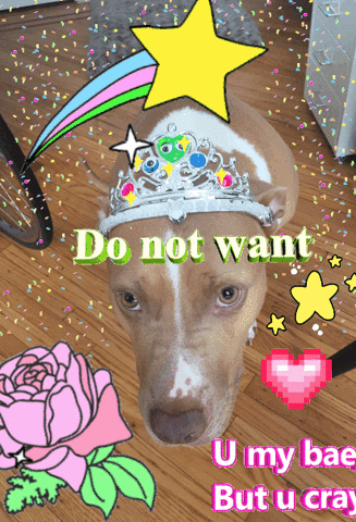 Birthday Do Not Want GIF by fiono