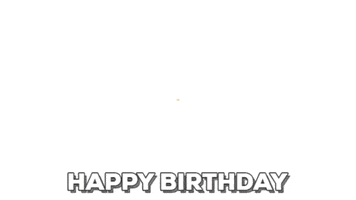 birthday celebration GIF by LEGO