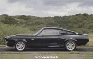 fredericalonso  GIF