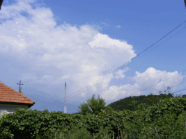 laurentiupaius  GIF
