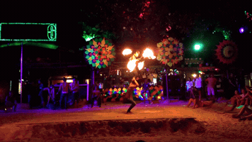 liliamfernandes  GIF