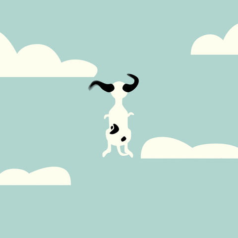 briannecharnigo puppy flying ears GIF