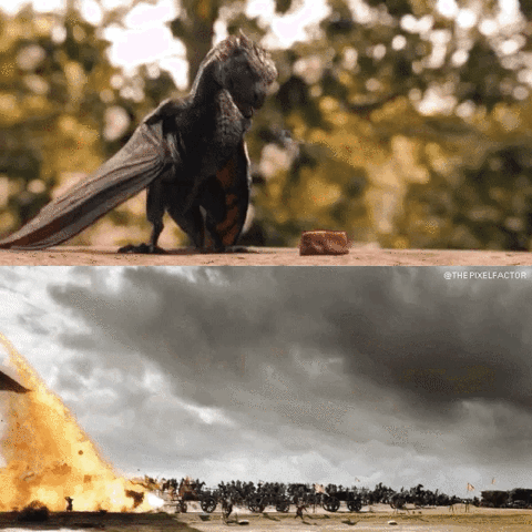 dfarana4 got drogon GIF