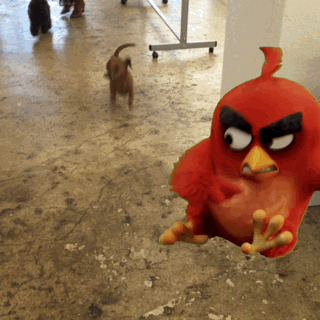 angry birds GIF by GIPHY CAM