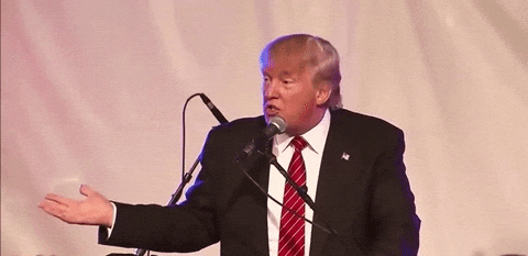 giphy.gif?cid=ecf05e47t01ng7g0b0kpcsd9gem1stjgxjp4rnz0fdsapnio&rid=giphy.gif