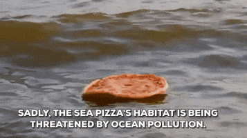 thenotepasser pizza ocean sustainable world oceans day GIF