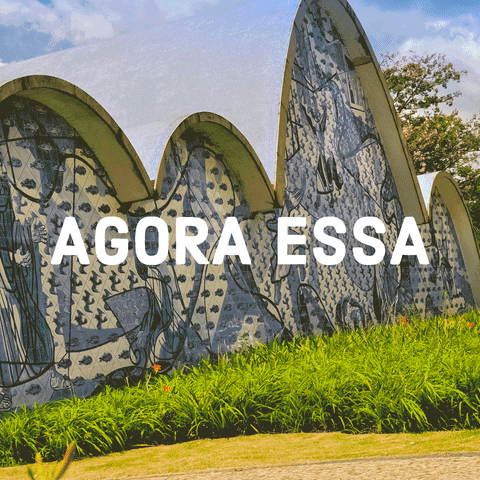 Transnorte  GIF