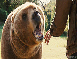 matt damon bear GIF by 20th Century Fox Home Entertainment