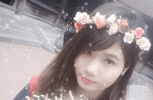 pan  GIF