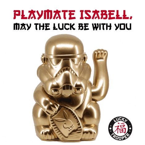 bernhardrauscher playboy playmate luckytrooper GIF