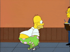 homerj homer krusty clown college small bicycle GIF