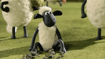 Shaun The Sheep Football GIF by Aardman Animations