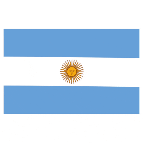 Argentina Flag GIF by Latinoji - Find & Share on GIPHY