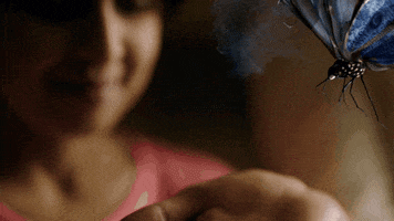 ouzo35  GIF