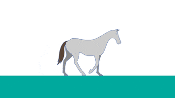 pu animation horse cycle GIF