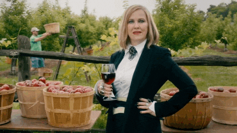 giphy.gif?cid=ecf05e47vuh2egyoi0nzoply88mlc0ebdoj3q5pipmql2rwr&rid=giphy.gif